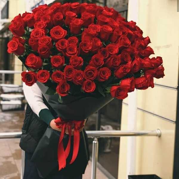 101 голландских роз 1м