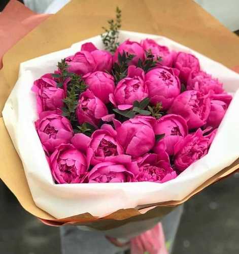 Мое вдохновение 