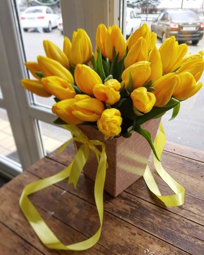 25 тюльпанов в кашпо