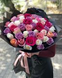 Голландские розы 51шт 70см mix