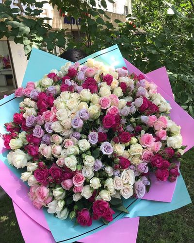 75 кустовых роз