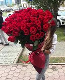Голландские розы 51шт 100см