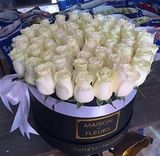 51 Голландских роз в коробке