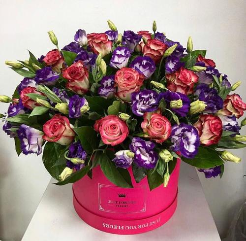 Праздник эмоций 